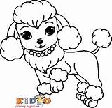 Poodle Webpage Hund Maltese Zeichnen Zeichnungen sketch template