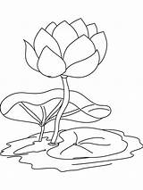 Lily Coloring Water Flower Pages Pad Outline Drawing Flowers Kids Color Lilies Pond Print Getdrawings Printable Getcolorings Sheet Recommended Popular sketch template