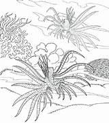 Plants sketch template