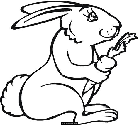 outline image  rabbit clip art library