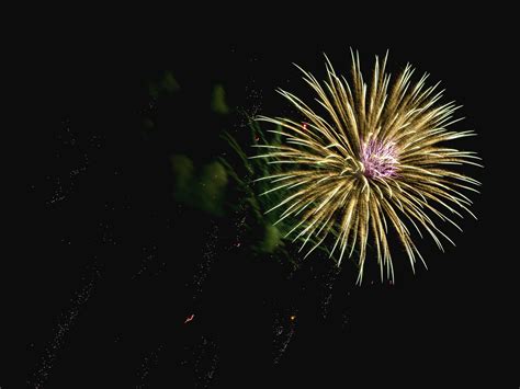 image libre feux d artifice lumineux coloré fête fusée