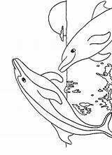 Dolphin Coloring Pages Dolphins Printable Number Painting Sea Paint Drawing Print Cute Kids Swim Jumping Fish Clipart Library Facts Simple sketch template