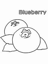 Blueberries Fruits sketch template