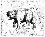 Remodelaholic Astronomy Vintage Printable Constellation Star sketch template