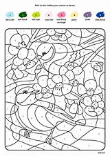 Oiseaux Coloriage Magique Coloriages Chiffres Tidou Magiques Dory Quadrillage Math Pages sketch template