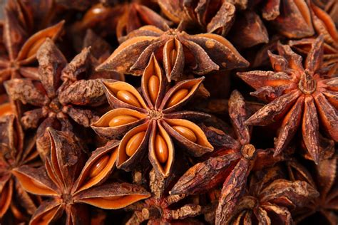 anise    top benefits top natural remedies