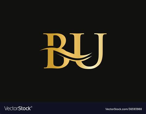 modern bu logo design  business  company vector image