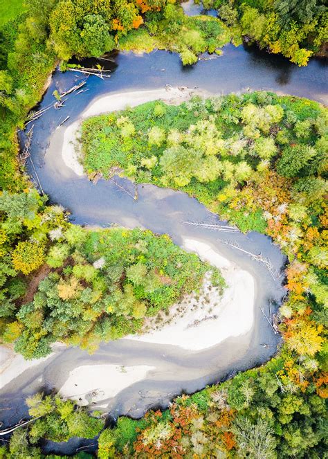 hd wallpaper aerial photography  river surrounded  trees drone view aerial view