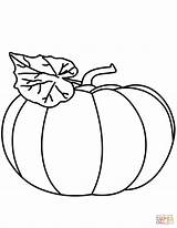 Coloring Pumpkin Pages Printable Drawing sketch template