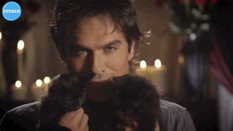 lost damon salvatore by omaze find and share on giphy