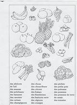 Fruits Flower Preschool Weaver Veggies Français Légumes sketch template