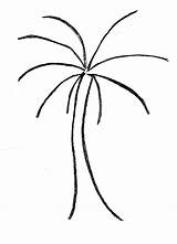 Tree Palm Drawing Easy Trunk Trees Coconut Drawings Line Coloring Outline Draw Leaves Cliparts Clip Clipart Just Stems Pages Clipartmag sketch template