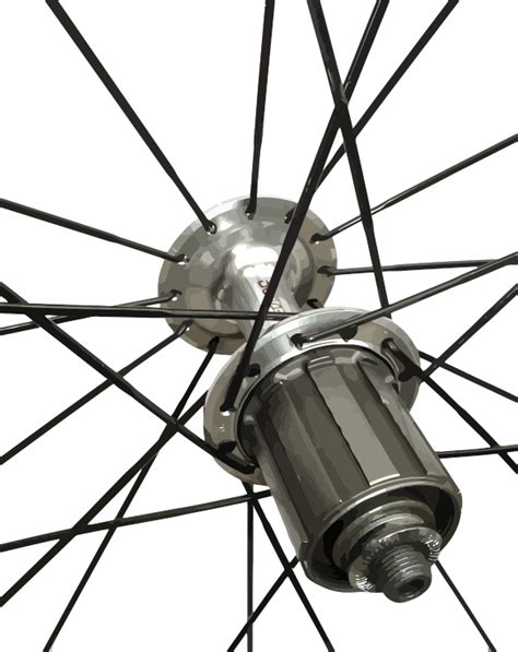 anatomy  bicycle wheels      infolific