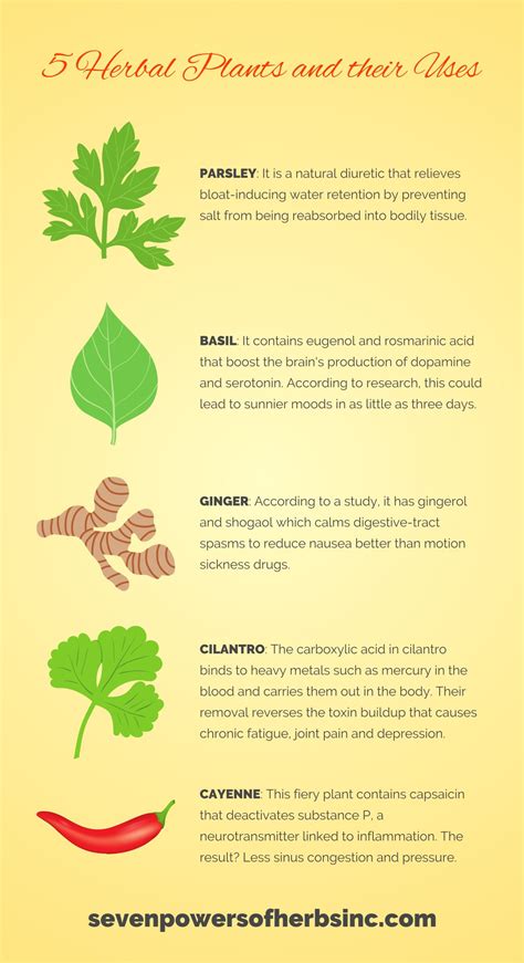 learn    herbal plants     visiting