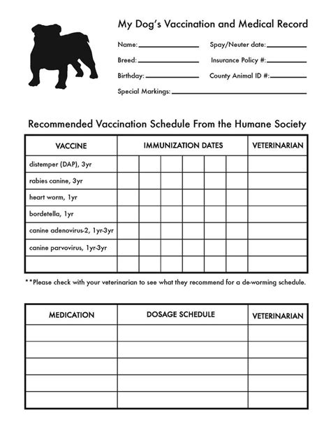 printable dog shot record sheet vaccination record puppies lucys