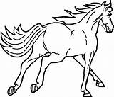 Arabian Coloring Horse Fast Wecoloringpage Pages sketch template