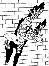 Coloring Pages Spiderman Printable Filminspector sketch template