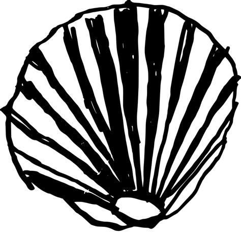 clipart shell