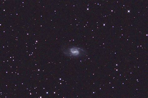 ngc3359 with an asa n8 20cm f2 75 astrograph and modified canon 350d