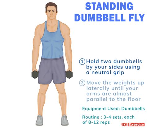 standing dumbbell fly exercisecom