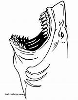 Shark Coloring Pages Great Printable Cool Drawing Kids Print Sharks Realistic Jaws Outline Color Sheet Megalodon Animals Teeth Sheets Getcolorings sketch template