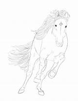 Andalusian Lineart sketch template