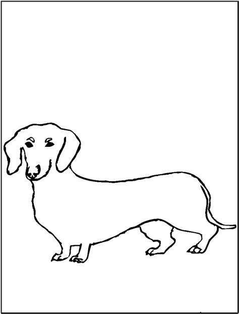 dogs coloring pages  kids  animal place