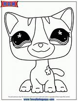 Coloring Pet Littlest Pages Shop Cat Lps Print Dog Collie Online Cats Dogs Colouring Printable Color Printables Library Frozen Easter sketch template
