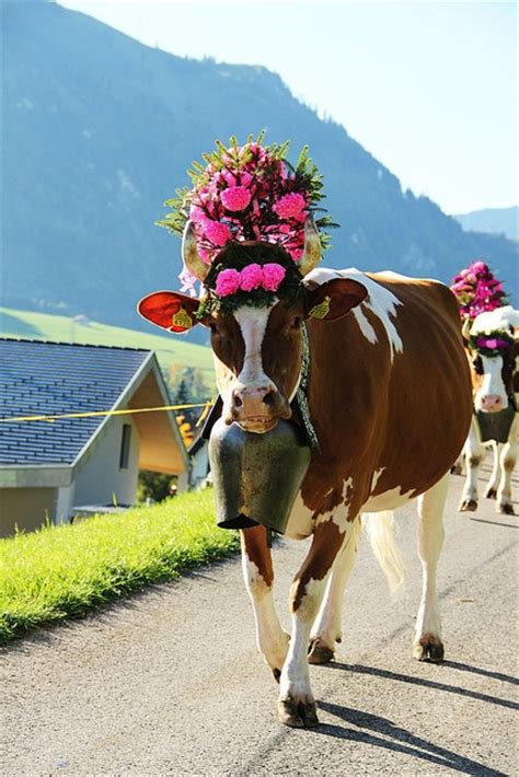 151 best images about alpen folklor on pinterest traditional tirol and folklore