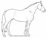 Coloring Paint Horse Pages Horses American sketch template