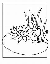 Lily Coloring Pad Pages Frog Flower Drawing Water Pads Print Flowers Getdrawings Popular Gif Coloringhome Draw sketch template