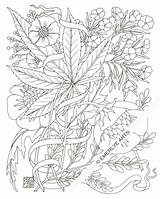 Stoner Phlox Trippy Marijuana Bong Weed Foglie Sketchite Emerlye Hemp Cynthia Stampare Designlooter sketch template