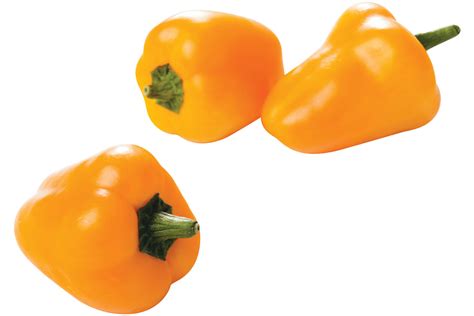 mini paprika geel doos kg stuk  van gelder groenten van gelder groente fruit