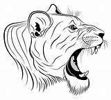 Coloring Head Lion Lioness Roaring Tattoo Pages Leeuwin Vector Drawing Lynx Printable Stock Clipart Clip Illustrations Royalty Color Getcolorings Print sketch template