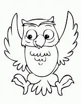 Owl Coloring Pages Cute Kids Print Printable sketch template