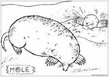 Colouring Mole Wildlife Pages British sketch template