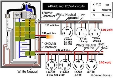 generator  plug wiring diagram