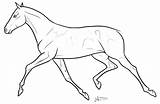 Comments Trotting Yearling sketch template