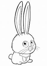 Coloring Pages Pets Life Secret Clipart Cartoon Cute Baby Bunnies Snowball Drawing Clip Cliparts Pea Sweet Transparent Gidget Library Getcolorings sketch template