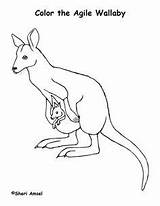 Wallaby Animalstown sketch template