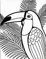 Toucan sketch template