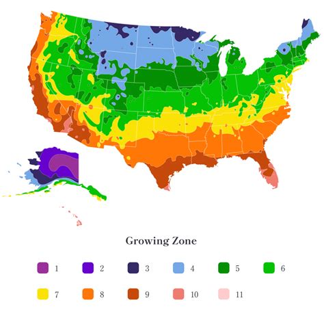 growing zone map find  plant hardiness zone treescom