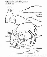 Coloring Bible Lesson Sunday School Activity Sheets God Rain Pages Kids Color Animals Church Sheet Class Sends Drink Lessons Honkingdonkey sketch template