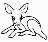 Deer Coloring Baby Pages Printable Kids Drawings Color Clipart Drawing Easy Cute Animal Draw Animals Cartoon Print Sketch Adults Mule sketch template