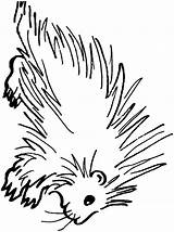 Porcupine Coloring Pages Clipart Color Animals Sheet Cliparts Book Printable Library Clip Town Web Open sketch template