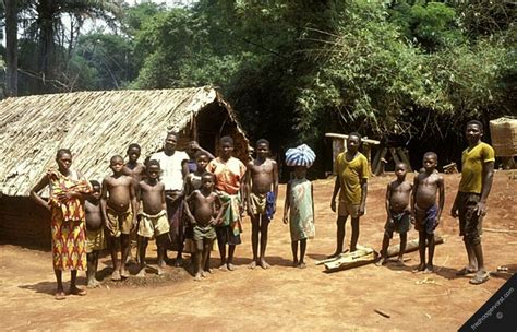 75 Best Congo Africa Images On Pinterest Africa