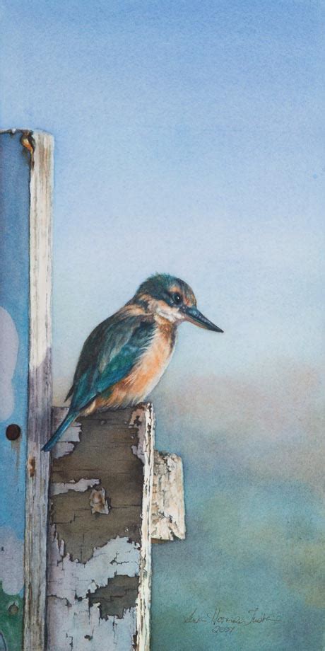 Bird Paintings In Watercolor And Oil Susan Harrison Tustain