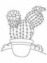 Cactus Coloring Pages Flower Kids Flowers Color Recommended sketch template