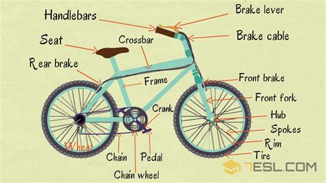 understand  buy bicycle names  parts disponibile