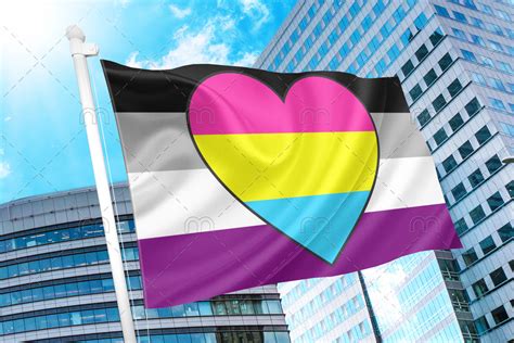 Asexual Panromantic Flag – Pride Nation